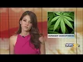 Manitou Springs dispensary hour extension