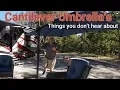 Cantilever Umbrella what you don t hear about