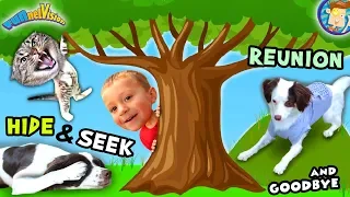 Dog with a VLOG Rose Reunites Meeting a Cat Hide Seek Saying Goodbye FUNnel Vision