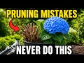 7 Mistakes You Must NEVER Make Pruning Hydrangeas Most Gardeners Do