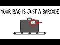 How Airport Luggage Actually Finds Your Bag