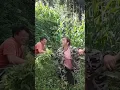 Download Lagu masteran burung viral kocak bikin ngakak hiburan warga +62 fuunyvideos