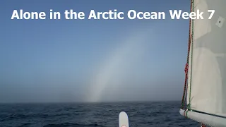 Alone in the Arctic Ocean Week 7