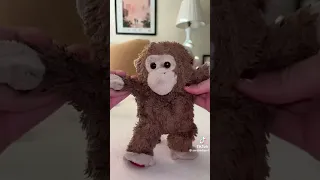 ١٣ أكتوبر ٢٠٢٦ دندنها