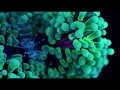 Eluvium -  dont get any closer (pc remix)