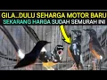 Lagu 🌟 UPDATE HARGA MURAI BATU BLOROK EKSTREM HARGA SUDAH SEMURAH INI DI PASAR BURUNG PRAMUKA HARI INI