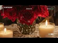 Best of Zoe Wees 2025 ~ Zoe Wees Playlist