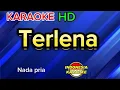 Download Lagu TERLENA - KARAOKE NADA PRIA | IKKE NURJANAH