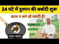 Download Lagu 24 घंटे में दुश्मन की बर्बादी शुरू // ॐ श्री भैरवाय नमः // शत्रु नाशक मंत्र