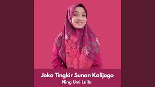 joko tingkir sunan kalijogo