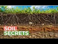 Soil Science How Soil Forms and Supports Life