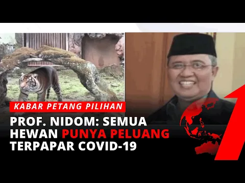 Harimau Kena Covid, Prof. Chairul: Ini Adalah Puncak Gunung Es