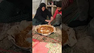 الطبيعة بستان سنفور الحجاج ابقار ريف العراق الابقار علف 