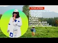 Download Lagu yayan jatnika - full album