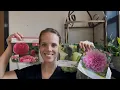Menards Spring Tuber Haul Simply Bloom