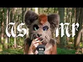 Download Lagu Furry ASMR in the Woods