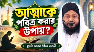 আত্মাকে পবিত্র করার উপায় | ক্বারী মুফতি জালাল উদ্দিন ক্বাদেরী | 01830-830145 | C5 Pak Panjatan
