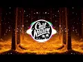 Shouse - Love Tonight (Vintage Culture & Kiko Franco Remix)