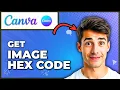 How To Find The Hex Color Code Of An Image Using Canva Easiest Way 2026 Guide
