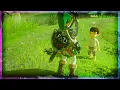 Zelda Breath of the Wild - The Weapon Connoisseur