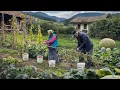 Download Lagu Village Life in the Carpathian Mountains Far from Civilization | Preparing for Winter
