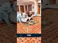 Download Lagu Cara Cerdas orang Pakistan Membuat Lantai.