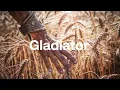 GLADIATOR - NOW WE ARE FREE ( HANS ZIMMER COVER ) SOUNDS LIKE : Tomorrowland / Progressive House