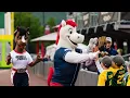 Adum and scoot review of horse college mascot