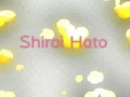 Download Lagu Merpati Putih version Once sub Japanese