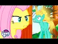 My Little Pony Friendship is Magic S6 E11 Flutter Butter MLP FULL EPISODE