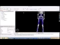 OpenSim Scaling