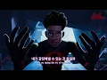 역대급 엔딩💦 l [MV] Am I Dreaming - Metro Boomin, A$AP Rocky, Roisee (어크로스 더 스파이더버스 ost, 가사,번역,해석)