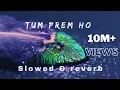 Lagu Tum Prem Ho Tum Preet Ho (Radha Krishna)[SLOWED+REVERB]| Bhajan Lofi 2025