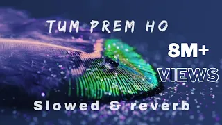 Download Tum Prem Ho Tum Preet Ho (Radha Krishna)[SLOWED+REVERB]| Bhajan Lofi 2023 MP3