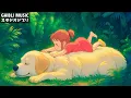 [Relaxing Ghibli] Ghibli Medley Piano 🌹 The best piano Ghibli collection in history