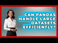 Can Pandas Handle Large Datasets Efficiently Python Code School News