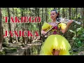 Download Lagu TAKIEGO JANICKA - SIKLAWA, skrzypce elektryczne, Agnieszka Flis - cover
