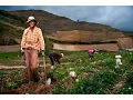 Download Lagu Musica campesina mix + Los serranitos 3