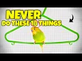 18 Things Bird Keepers Should Never Do Biggest Mistakes Bird Keepers Make