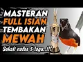 Lagu Keren abis !! MASTERAN MURAI BATU FULL ISIAN TEMBAKAN KEKINIAN‼️