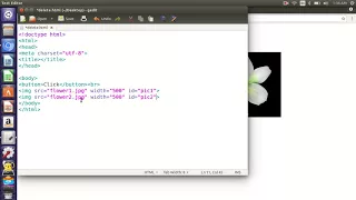 JavaScript DOM 5 - Deleting elements