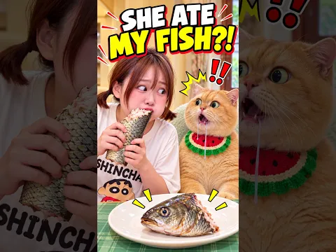 She Ate Her Cat’s Fish… His Reaction Says Everything! 😹 #exlittlebeans #funnyvideo #cat