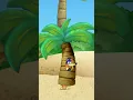 swiper s silliest swipes