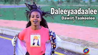 Dawiit Taakeelee Daleeyaadaalee Ethiopian Oromo New Music 2021 Official Video 