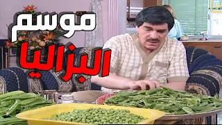 انحس موظف في التاريخ شغل مخو وقرر يصير ملياردير بالاحتيال ـ مرايا 