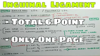 Inguinal Ligament or Poupart s Ligament-1 Chart TCML and ENMEDER