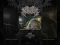 Download Lagu SISTER MURDER (Indonesia) Soul Bomber Destruction.mp4 #sistermurder #deathmetalmusic #metal