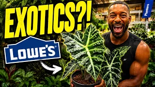 You Won t Believe These RARE Plants At Lowe s Episode 9