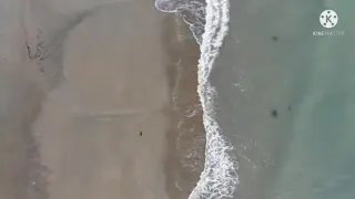                          خالد الجليل دعاء كامل دندنها