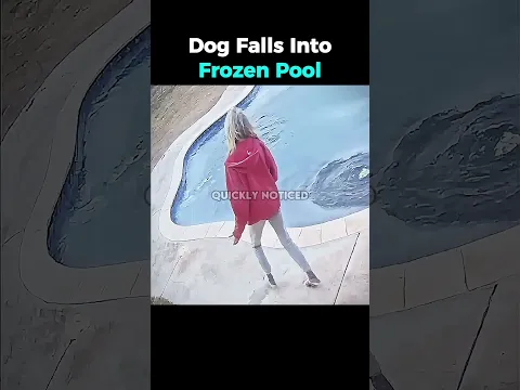 His friends left him to drown π